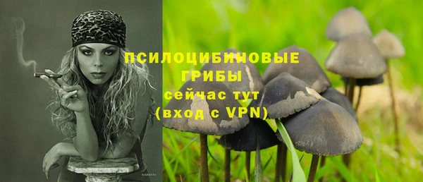 стаф Карталы