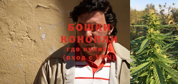 стафф Касимов