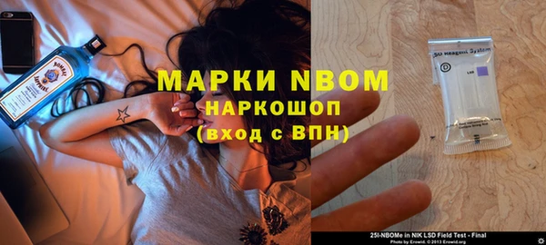 индика Костерёво