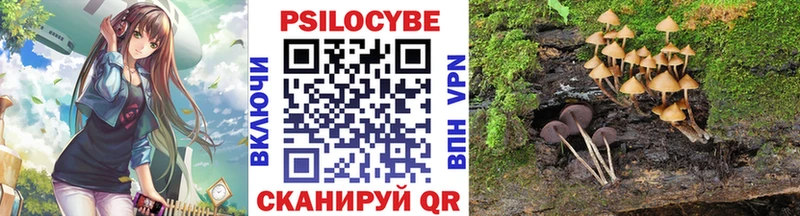 Купить закладки  Дубна  Галлюциногенные грибы прущие грибы 