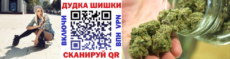 Купить где  Дубна  Бошки марихуана сатива 